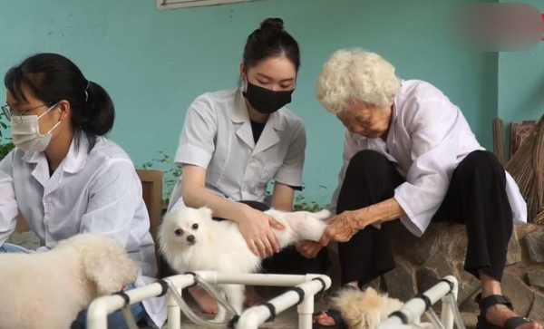 Cụ bà 88 tuổi mở phòng khám châm cứu miễn phí cho thú cưng