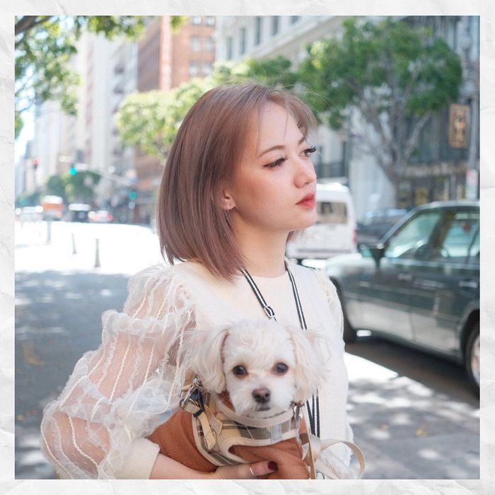 Cuộc sống của bé Xuân Nghi ở Mỹ sau khi điều trị khỏi Covid-19