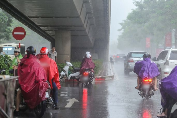 Dừng đèn đỏ ở bóng râm cách xa vạch sẽ bị phạt tới 300 nghìn đồng