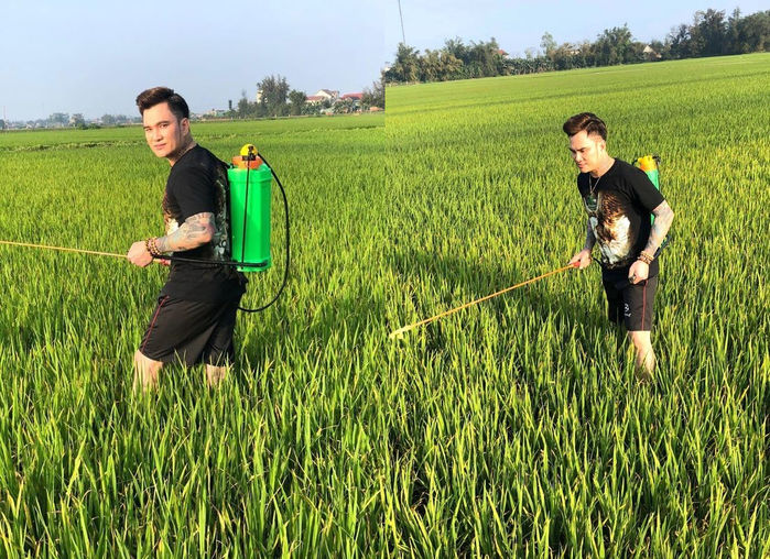 Sao Việt về quê việc gì cũng làm được: tắm lợn, cắt lúa là chuyện nhỏ