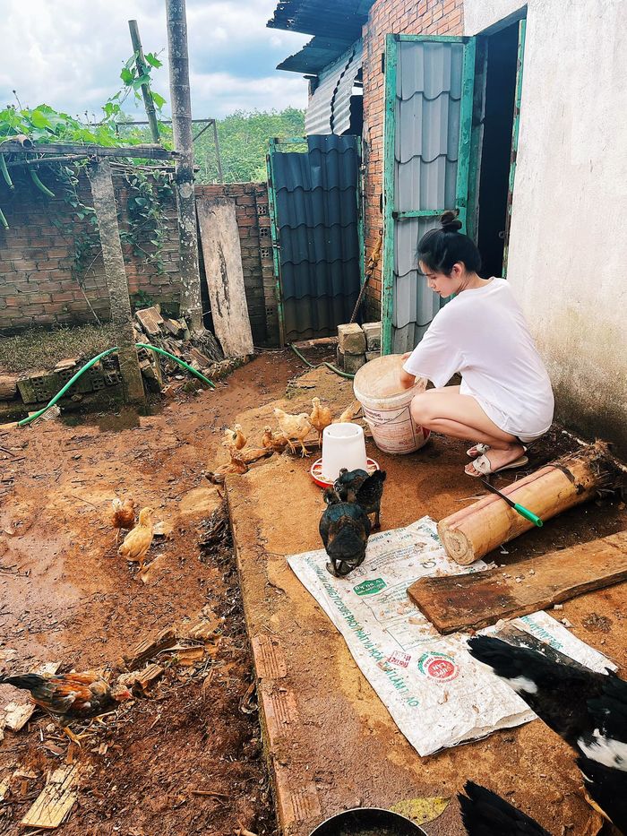 Sao Việt về quê việc gì cũng làm được: tắm lợn, cắt lúa là chuyện nhỏ