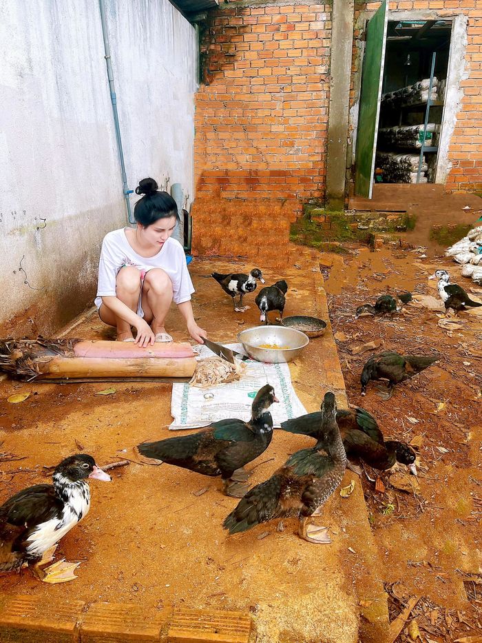 Sao Việt về quê việc gì cũng làm được: tắm lợn, cắt lúa là chuyện nhỏ