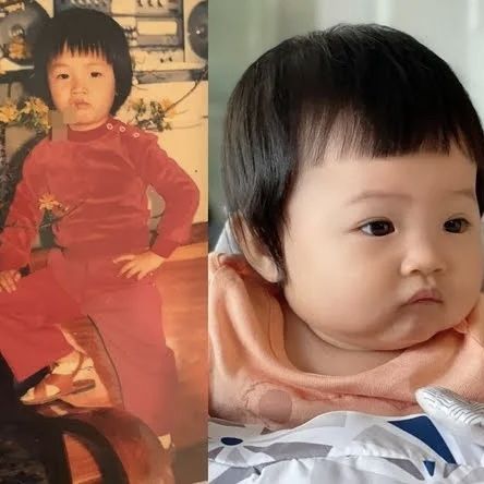 Hội mỹ nhân ngậm ngùi mang kiếp đẻ thuê của showbiz Việt