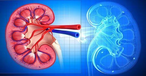 Mẹ phát bệnh hiểm nghèo, 3 đứa trẻ khóc ngặt: Con xin mẹ đừng bỏ con