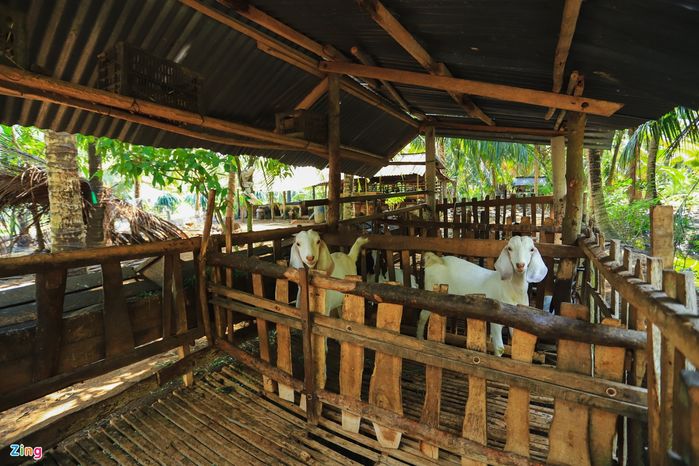 Nhà dưới quê của sao Việt: Hồ Văn Cường xập xệ, Đỗ Thị Hà to nhất làng
