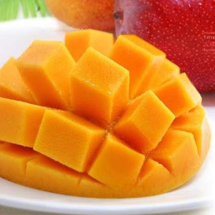 Nhà trồng cây xoài đắt nhất TG, phải thuê 4 vệ sĩ, 6 con chó bảo vệ