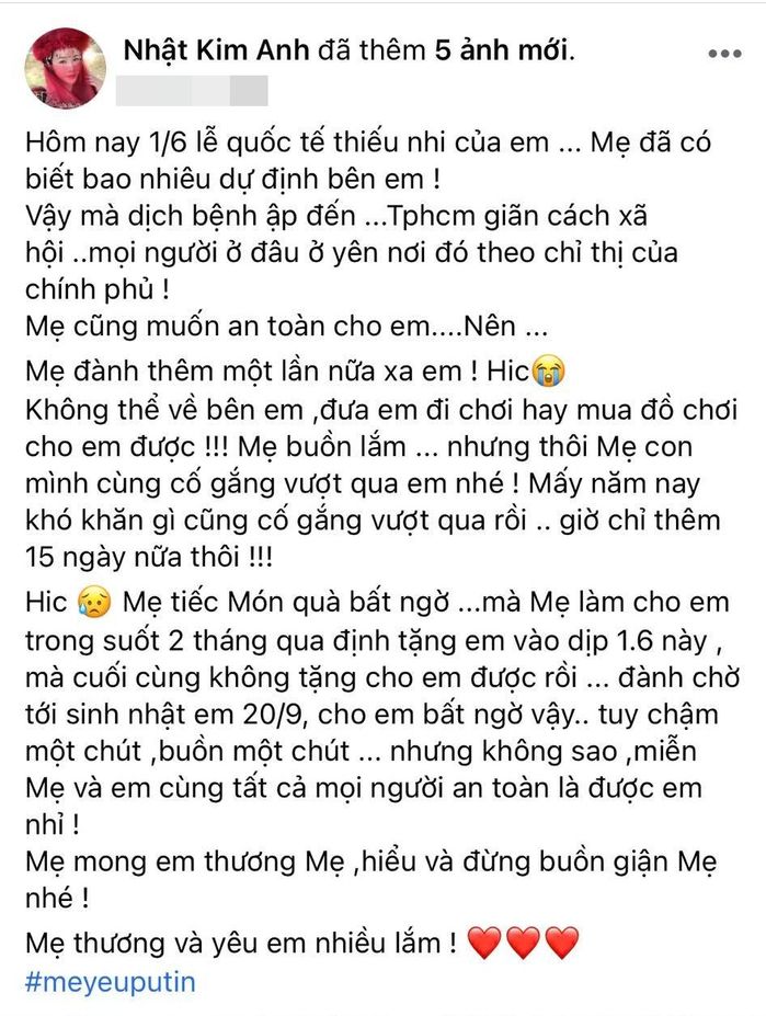 Nhật Kim Anh không thể đoàn tụ cùng con trai trong ngày 1/6
