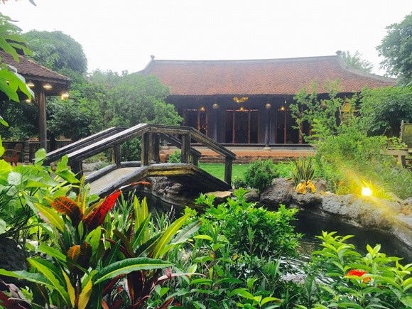 Những hồ cá Koi bạc tỷ của sao Việt: Thú vui của hệ nhà giàu