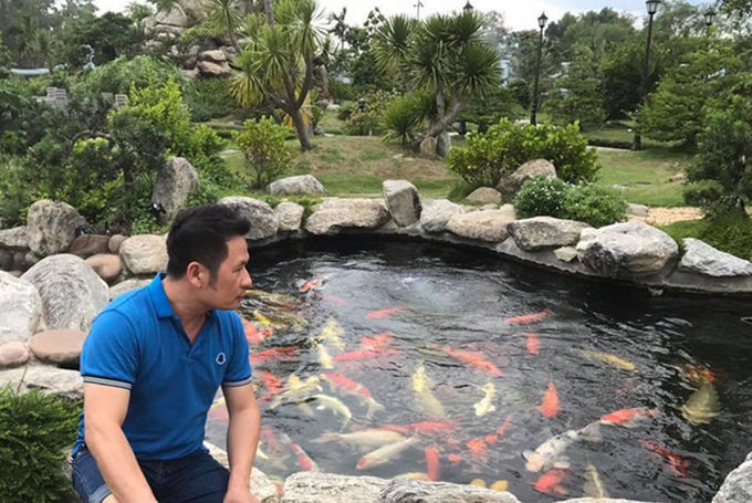 Những hồ cá Koi bạc tỷ của sao Việt: Thú vui của hệ nhà giàu