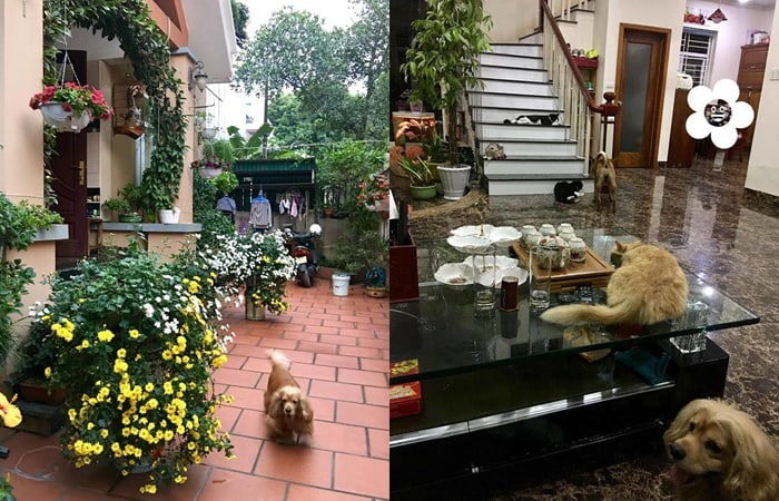Nhà dưới quê của sao Việt: Hồ Văn Cường xập xệ, Đỗ Thị Hà to nhất làng