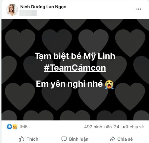 Sao Việt gửi lời chia buồn, khóc thương khi fan hâm mộ qua đời