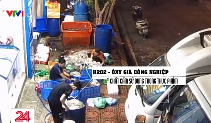 Tiểu thương dùng keo 502 dán râu mực, CĐM: Đừng than sao tẩy chay nhé