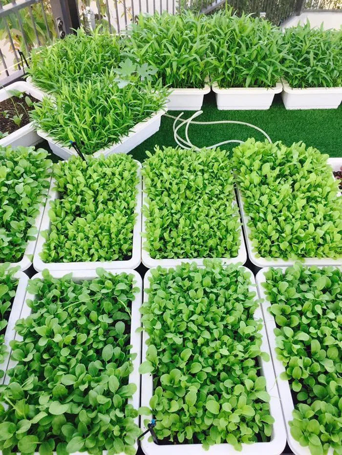 Từng phá sản, Lý Hải giờ giàu sụ: Là chủ 4 công ty, có nhà đẹp xe sang