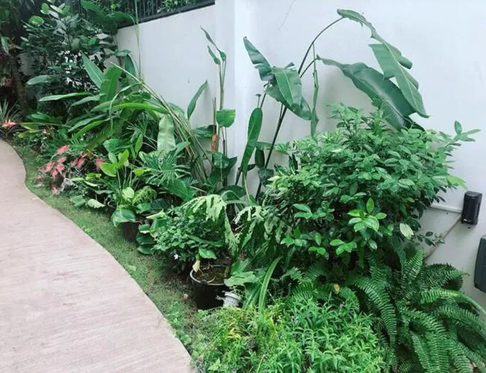 Từng phá sản, Lý Hải giờ giàu sụ: Là chủ 4 công ty, có nhà đẹp xe sang