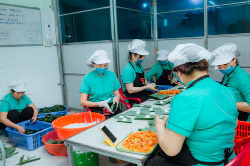 Anh nông dân gửi tặng TP.HCM cả vườn cải trăm triệu