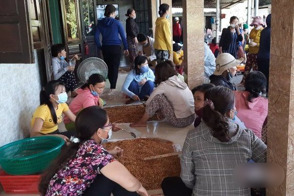 Anh nông dân gửi tặng TP.HCM cả vườn cải trăm triệu