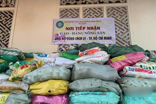 Anh nông dân gửi tặng TP.HCM cả vườn cải trăm triệu