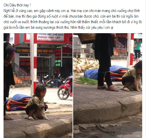 Bé gái ôm hôn chú chó sắp bị bán đi, khách chê liền tỏ ra mừng rỡ