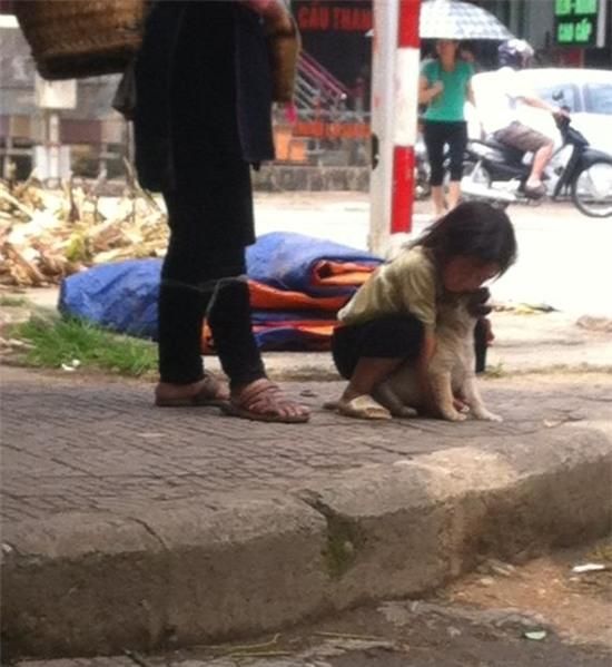 Bé gái ôm hôn chú chó sắp bị bán đi, khách chê liền tỏ ra mừng rỡ