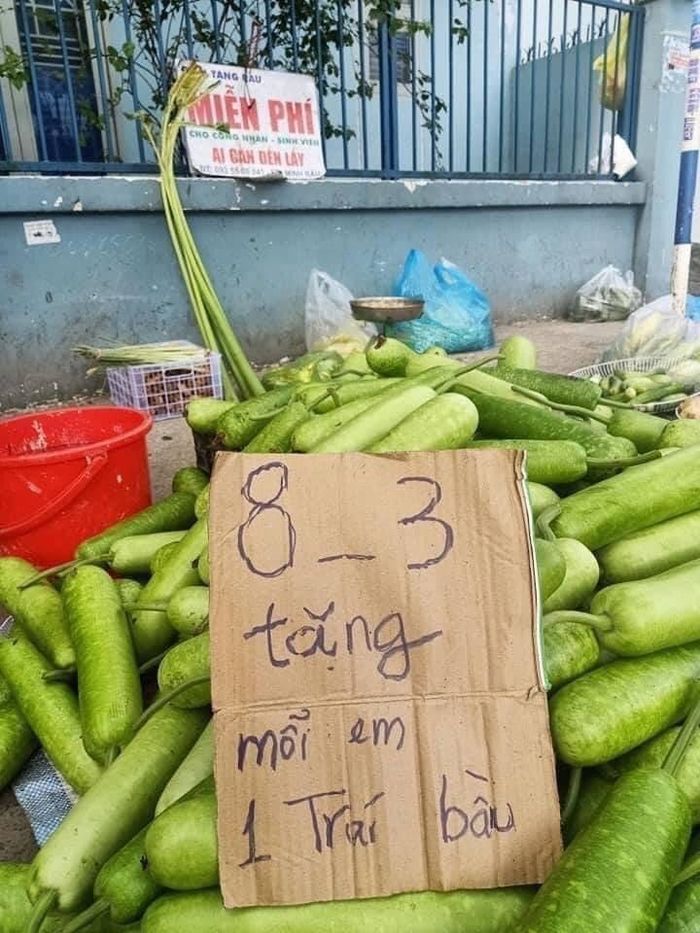 Bị mắng khờ khi bán rau rẻ: Kiếm tiền cả đời chứ không phải bây giờ