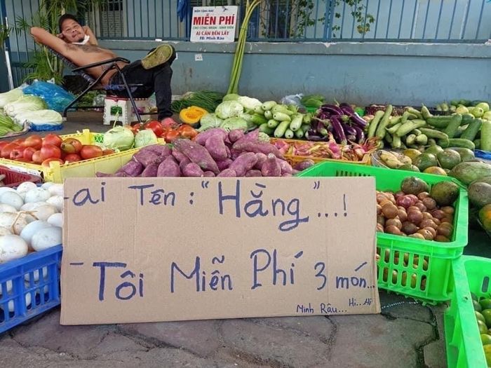 Bị mắng khờ khi bán rau rẻ: Kiếm tiền cả đời chứ không phải bây giờ