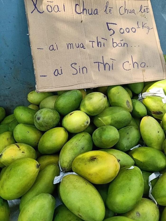 Anh Minh bán rau rẻ mùa dịch từ chối ủng hộ: Hãy giúp người đang cần