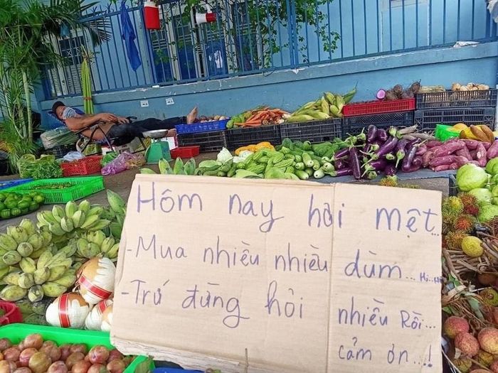 Bị mắng khờ khi bán rau rẻ: Kiếm tiền cả đời chứ không phải bây giờ