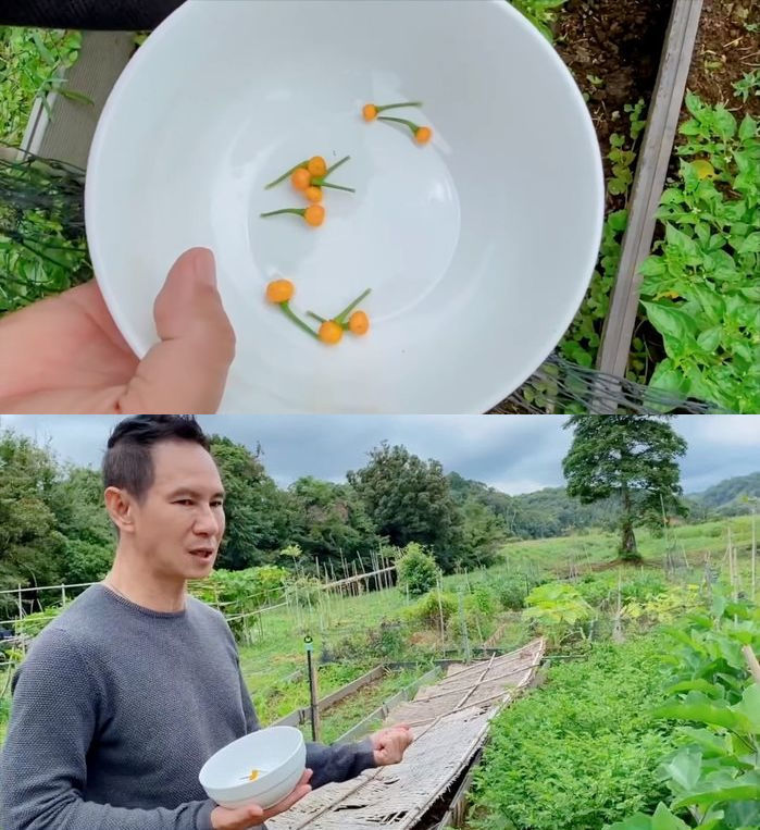 Biệt thự sao Việt ở Đà Lạt: Lý Hải có nông trại trồng ớt 500 triệu/kg