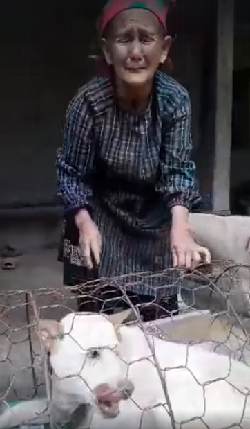 Cụ bà mếu máo khi phải rời xa chó cưng: Thương quá, mà bà khổ quá