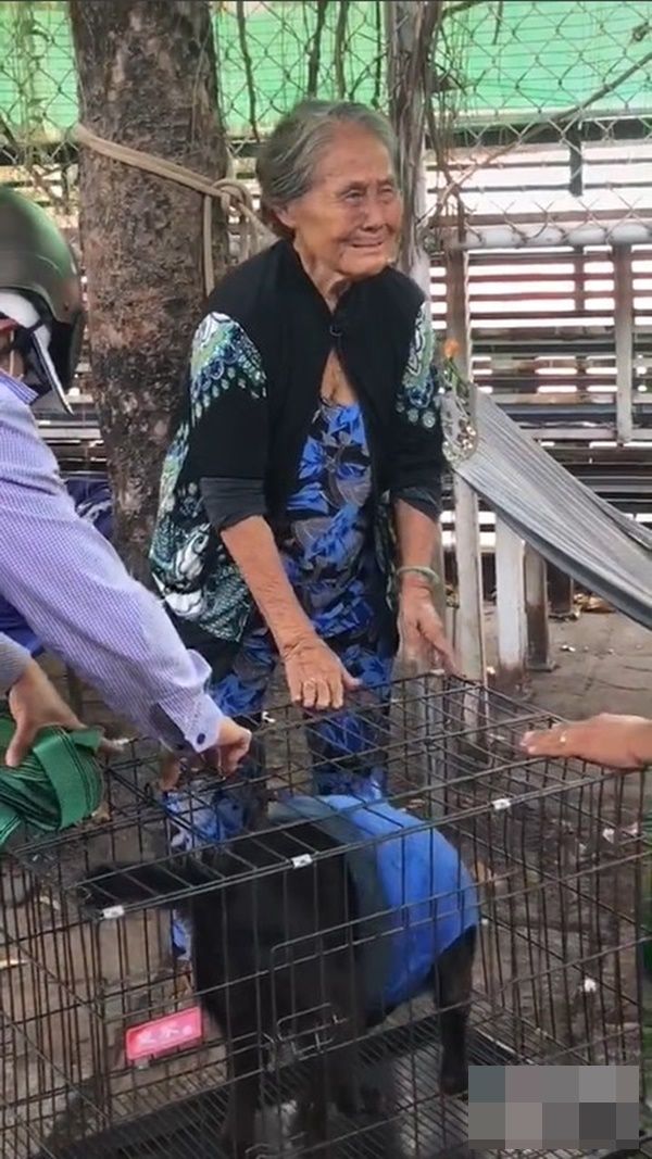 Cụ bà mếu máo khi phải rời xa chó cưng: Thương quá, mà bà khổ quá