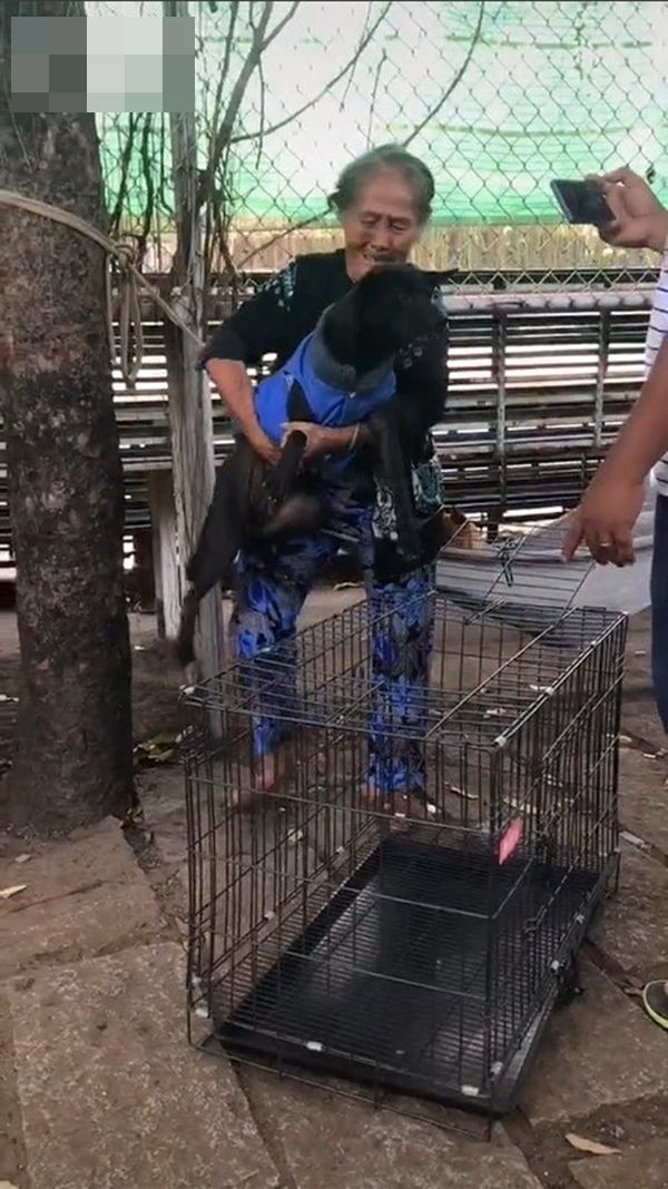 Cụ bà mếu máo khi phải rời xa chó cưng: Thương quá, mà bà khổ quá