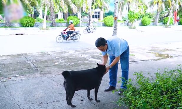 Chú chó cỏ ú nu ú nần được chủ cưng hơn con ruột, ngủ chăn ấm nệm êm