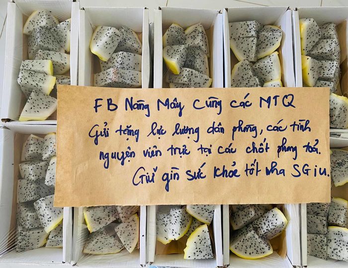 Cô gái cùng bạn mỗi ngày gom nửa tấn rau củ quả tiếp sức cho Sài Gòn