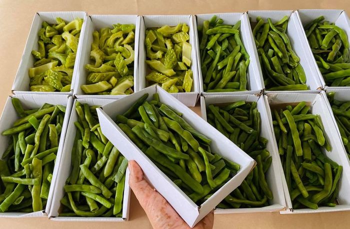 Cô gái cùng bạn mỗi ngày gom nửa tấn rau củ quả tiếp sức cho Sài Gòn