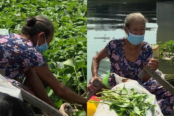 Cụ bà cả đời đơn độc trên sông, mưu sinh bằng nghề lượm ve chai