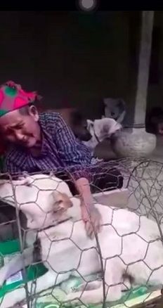 Cụ bà mếu máo khi phải rời xa chó cưng: Thương quá, mà bà khổ quá