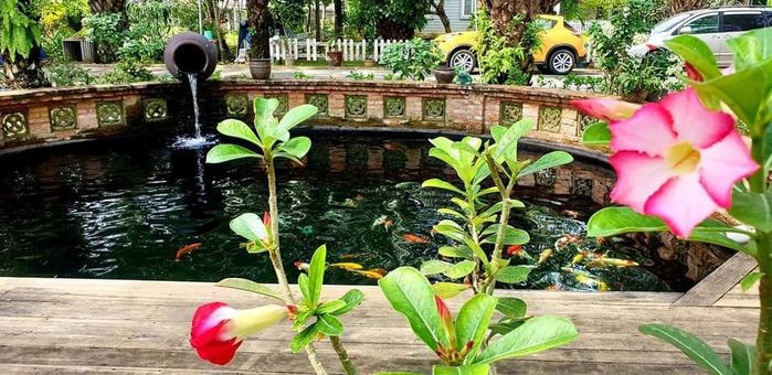 Đại gia Vbiz mùa giãn cách: Lý Hải Minh Hà đưa 4 con lên Đà Lạt