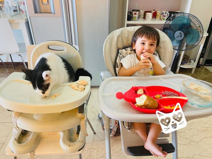 Chú boss may mắn nhất Vbiz: được con trai 2 tuổi gia chủ chia đồ ăn