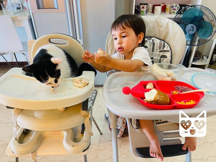 Chú boss may mắn nhất Vbiz: được con trai 2 tuổi gia chủ chia đồ ăn