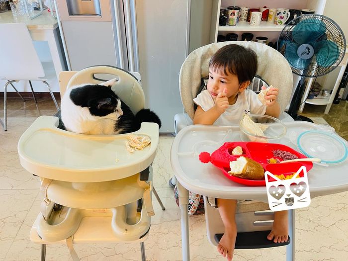 Chú boss may mắn nhất Vbiz: được con trai 2 tuổi gia chủ chia đồ ăn