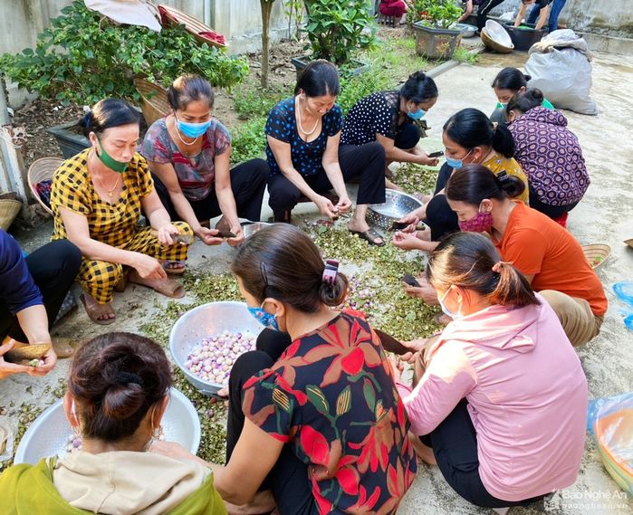 Đoàn xe chở 290 tấn lương thực từ Nghệ An vào ủng hộ TP.HCM