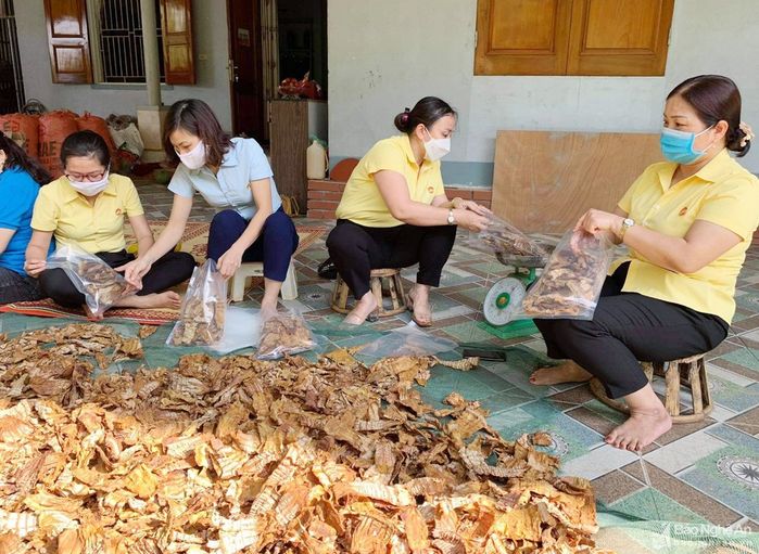 Đoàn xe chở 290 tấn lương thực từ Nghệ An vào ủng hộ TP.HCM