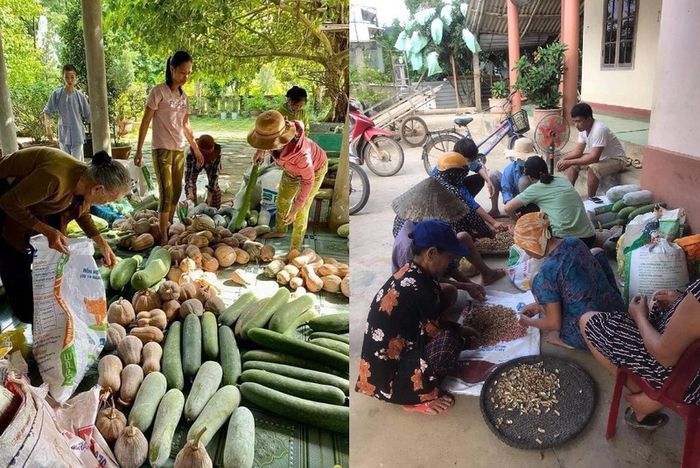 Giữa trưa nắng, cụ bà 76 tuổi chở trái bí để gửi tấm lòng vào Nam