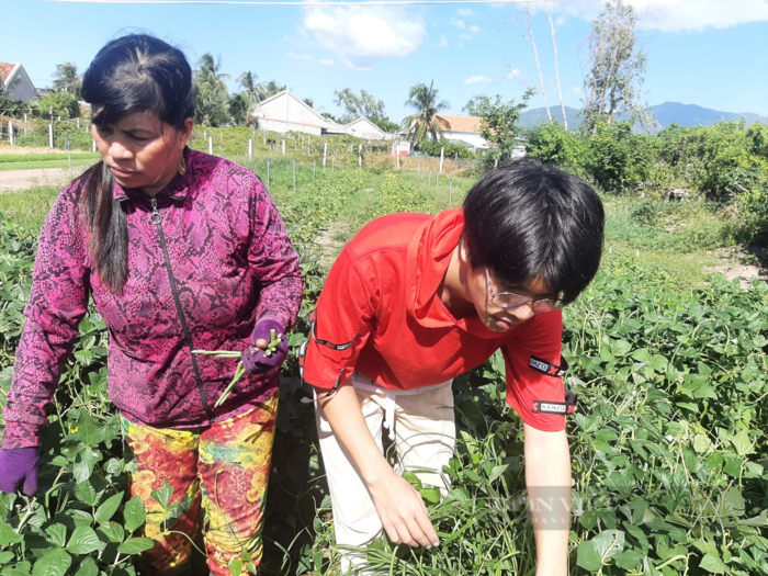 Hai thủ khoa đặc biệt: người lớn lên từ hàng rau mẹ, người ngoại nuôi