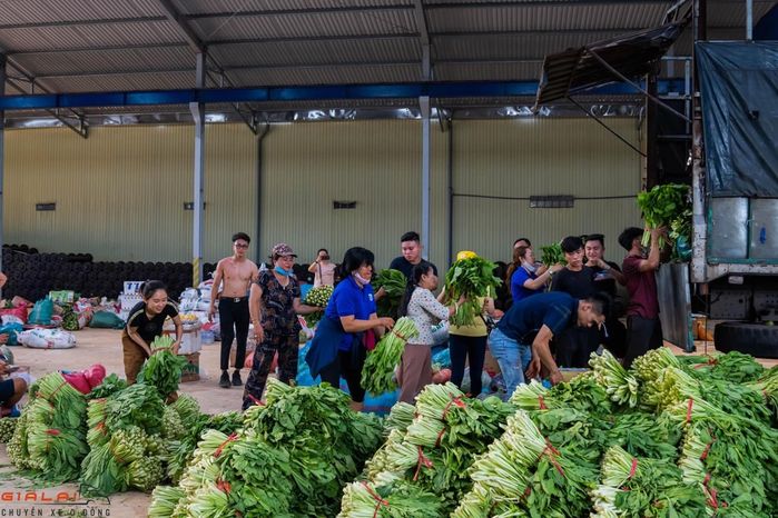 Ông chú đi xe hơi xin bó rau từ thiện: Tiền giờ không là nghĩa lý gì
