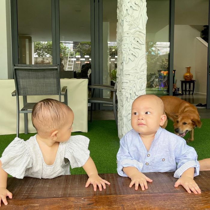 Họp gia đình, Lisa kiêu kỳ nhưng cậu em nghiêm túc lại chiếm sóng