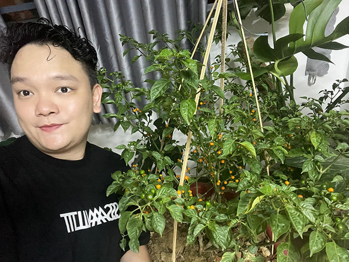 Làm giàu không khó: Sao Việt nô nức trồng cây ớt 500 triệu/kg