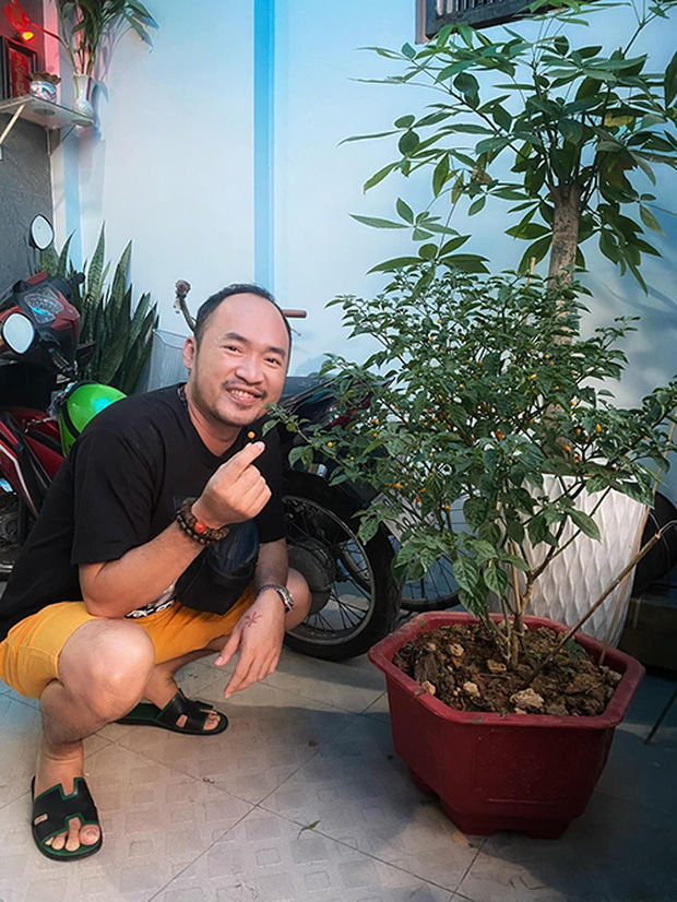 Làm giàu không khó: Sao Việt nô nức trồng cây ớt 500 triệu/kg