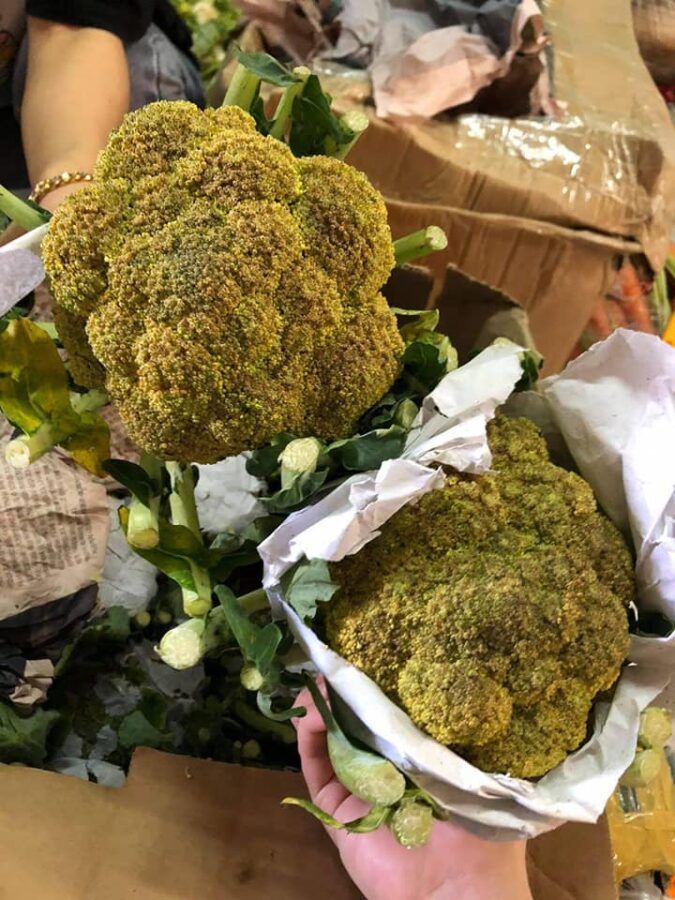 Thực phẩm tiếp tế từ Đà Lạt đến SG hỏng hết vì 3 ngày chưa đến nơi
