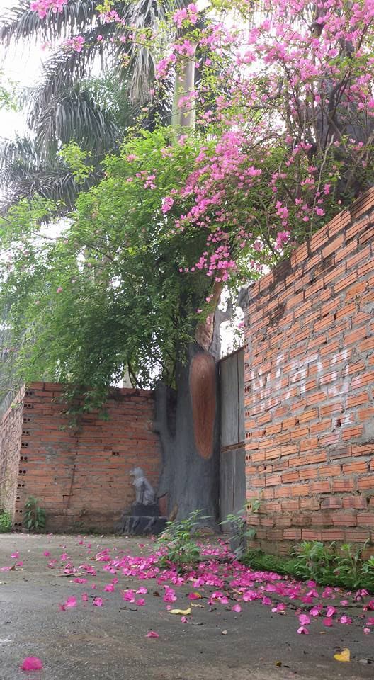 Nghệ sĩ Giang Còi trước khi bệnh phải bán xe: Ở nhà vườn rộng 10.000m2